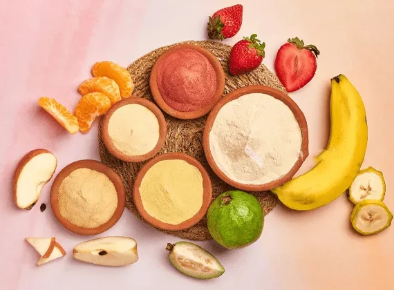 Fruit Powder - Dev Tandoor Industries